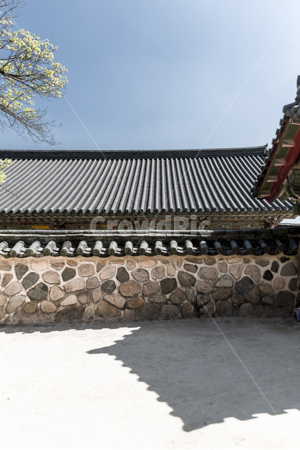 돌담,기와,담벼락,선,고택,한국전통,한국문화,korean traditional,korean culture,건축물,건물외관,exterior,building,structure,architecture,construction