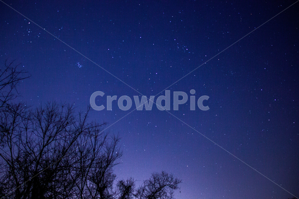 별,밤하늘,별자리,자연,star