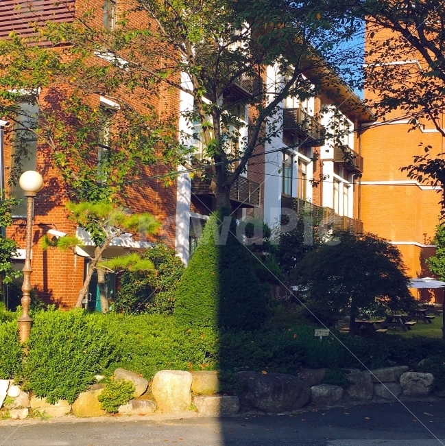 그림자,흑백,반반,햇빛,절반,건축물,건물외관,exterior,building,structure,architecture,construction