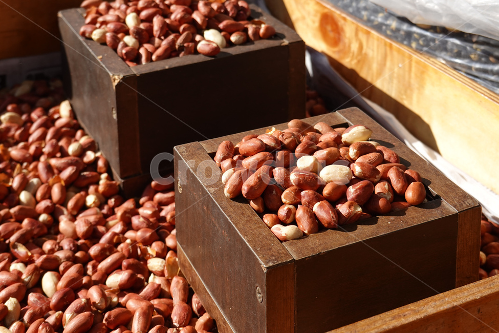 plant,food,음식,땅콩,견과류,아몬드,푸드트럭,트럭,땅콩트럭,foodtruck,건강식,간식,주전부리