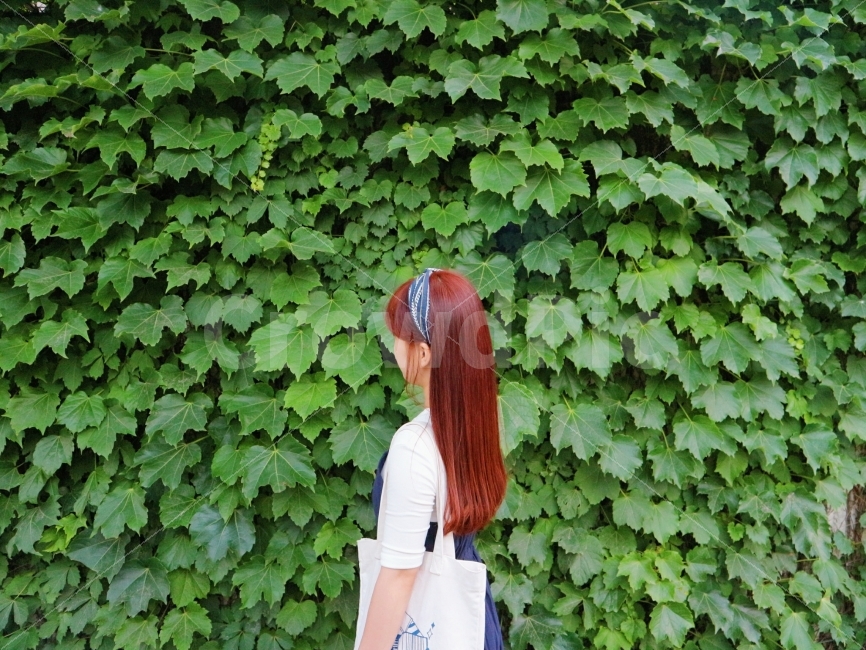 담쟁이덩굴,뒷모습,감성,인물,옆모습,여유,힐링,초록,보색대비,여자,식물,자연,plants,nature,사람,인물,인간,human,person,여성,여자,woman,female,lady