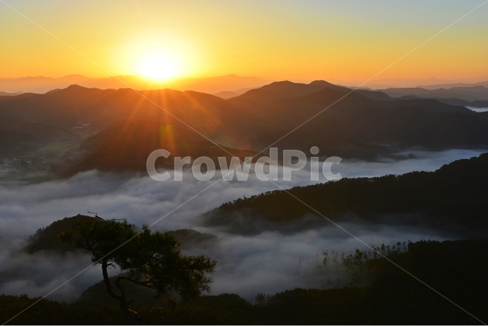 nature,자연,outdoors,임실,국사봉,운해,국사봉일출,아침,여명,해돋이,경치,경관,풍경,옥외,mountain,산,mountainrange,산맥,dawn,새벽,sky,하늘,redsky,붉은하늘,light,빛,flare,플레어,소나무,자연,풍경,nature,landscape,한국자연풍경,한국자연경관,korea nature landscape