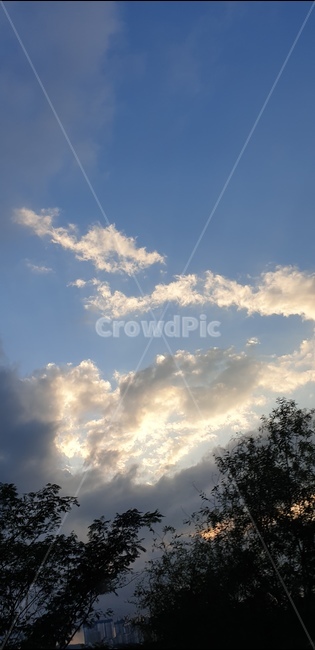 하늘,구름,자연,나무,sky,cloud,nature,tree