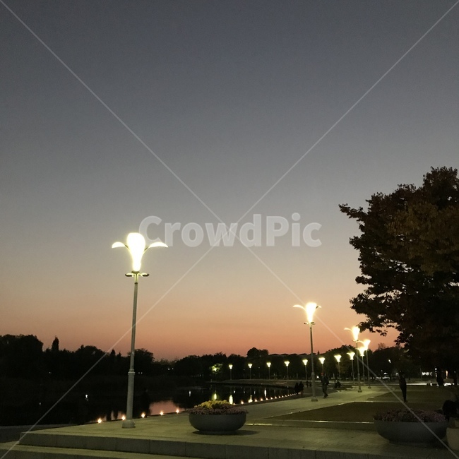 봄,여름,봄저녁,여름저녁,나무,가로등,산책,꽃,야경,밤,풍경,nightscape,night,landscape,lamp post,램프 포스트
