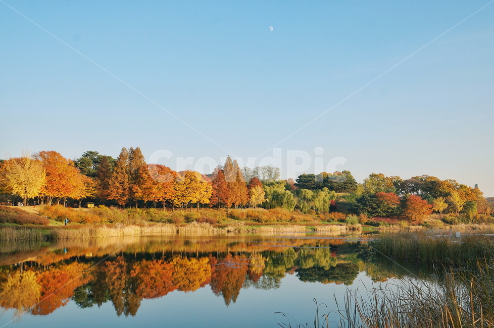 호수,lake,자연,nature,가을,autumn,fall,단풍,가을,계절,fall,autumn,season,자연,풍경,nature,landscape,water,물,outdoors,옥외,land,땅