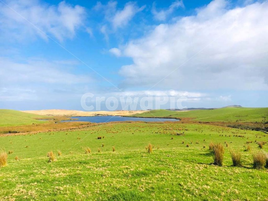 nature,자연,field,들,grassland,outdoors,목초지