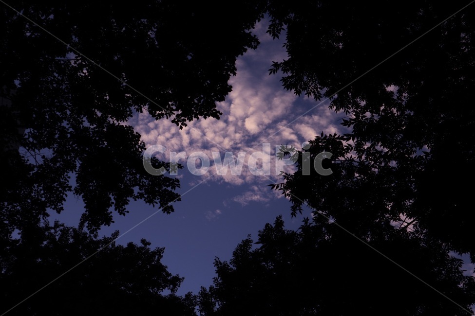 하늘,노을,구름,sky,cloud,sunset