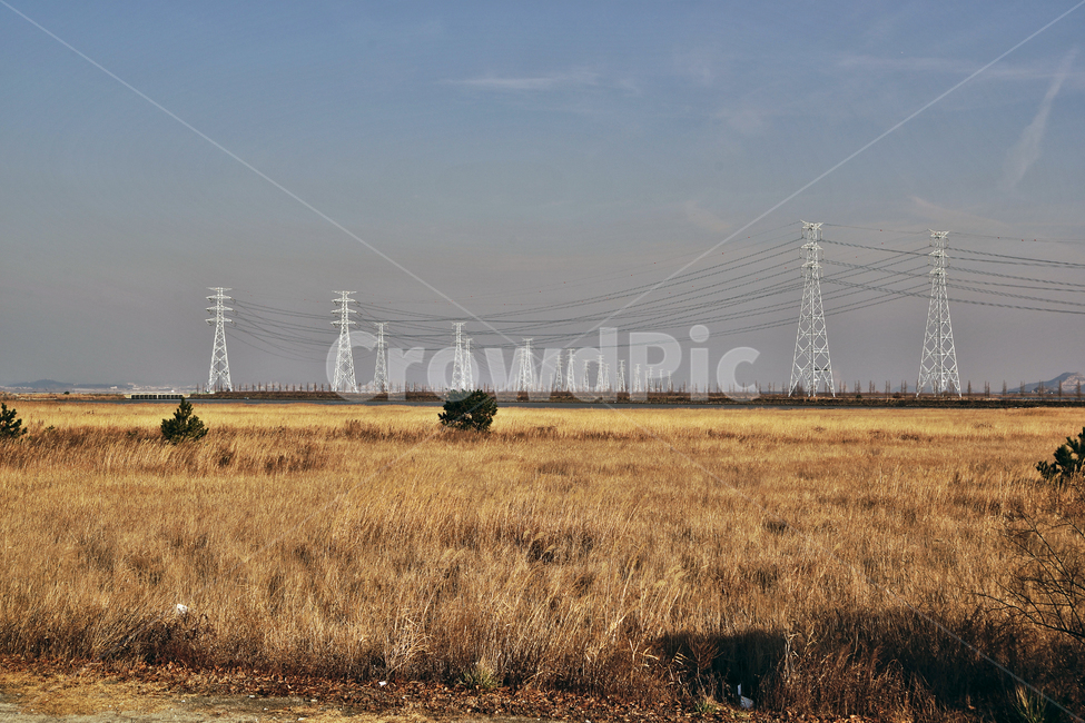 시화호,대부도,안산,시화방조제,철탑,에너지,갈대