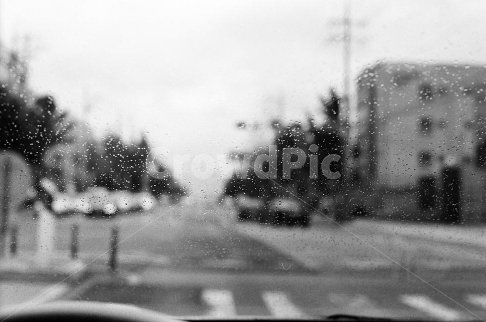 흑백,빈티지,필름,비,감성,스냅,일상,물방울,흑백필름,비,비오는날,rain,rainy,흑백,모노톤,monochrome,black and white