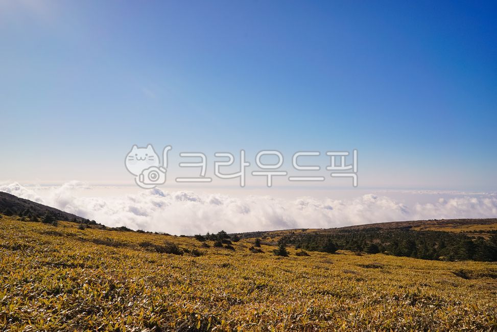 제주도,한라산,윗세오름,영실코스,파란하늘,등산,자연,산,환경,구름,운해,절경