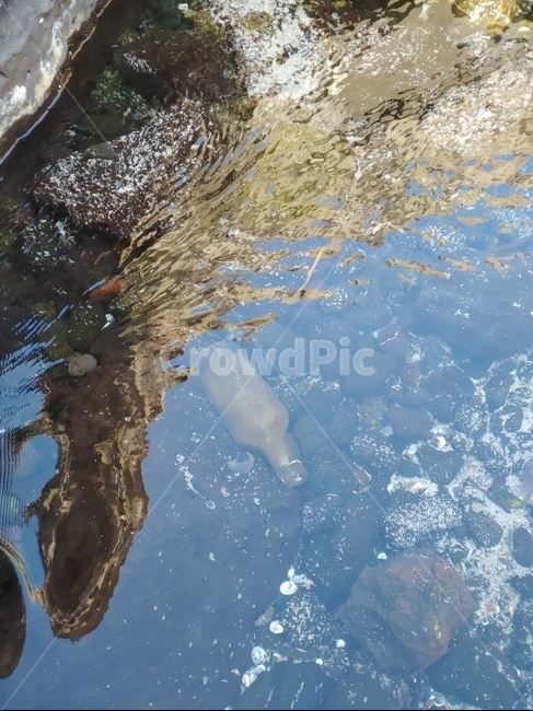 water,outdoors,옥외,제주도,유리병
