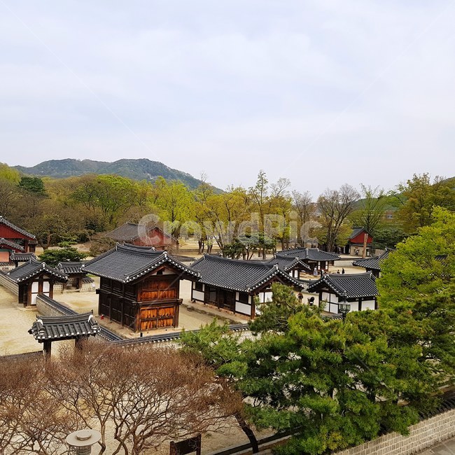 전주,경기전,풍경,고궁,기와,한국전통,한국문화,korean traditional,korean culture,랜드마크,landmark,tourist attraction,한국랜드마크,한국관광지,한국명소,korea landmark,korea tourist attraction