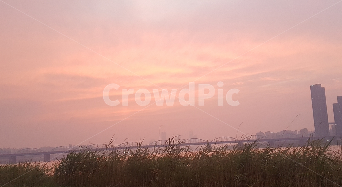nature,자연,야경,한강,노을,plant,식물,grass,잔디,옥외,outdoors