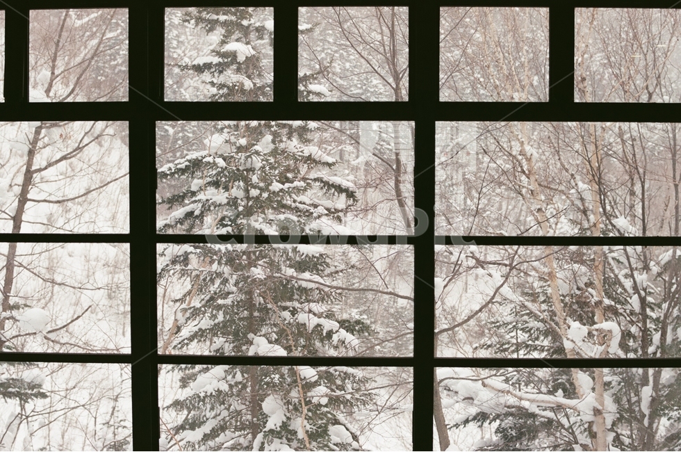 겨울,홋카이도,눈의왕국,필름사진,감성사진,겨울,계절,winter,season,감성,sensible,feeling,인테리어,실내디자인,interior design