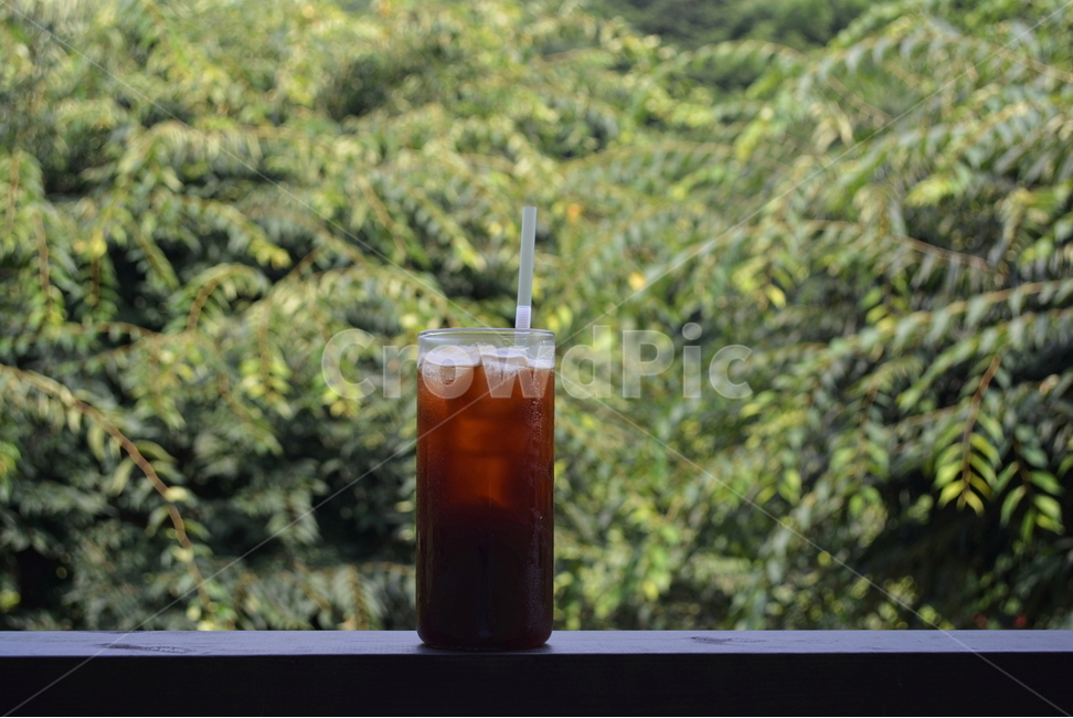 여름,coffee,summer,초록,자연