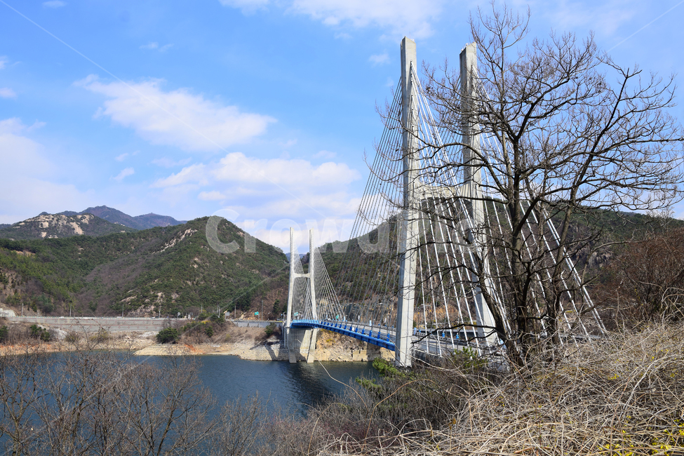 청풍대교,청풍호,호수,다리,물,나무,푸른하늘,대교풍경,bridge,largebridge,bluesky,tree,lake