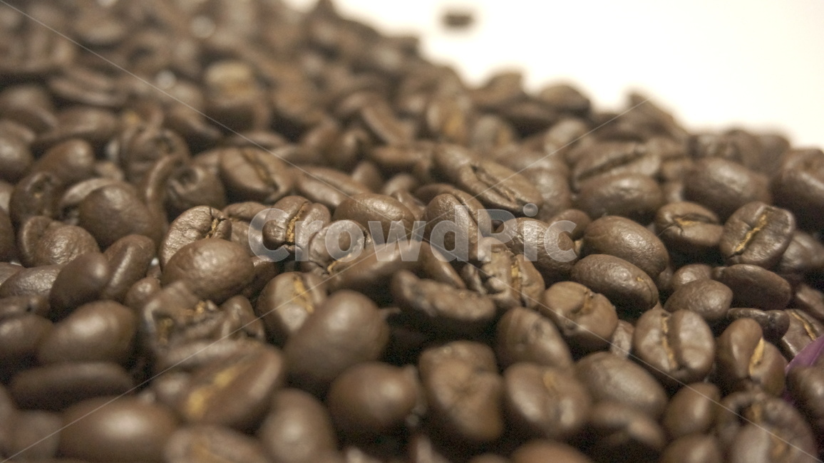원두,원두커피,로스팅,커피,cafe,드립커피,스코트레버러토리,워시드방식,커피,카페,coffee,cafe