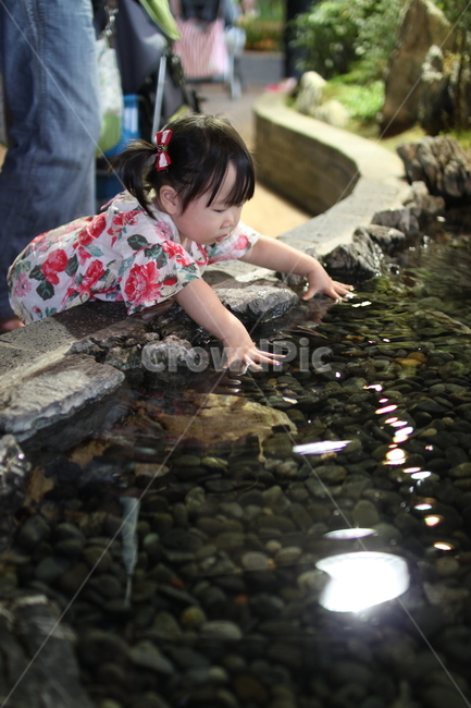 물놀이,아이,금붕어,동물원,돌,물장난,사람,인물,인간,human,person,어린이,어린아이,child,children,kid