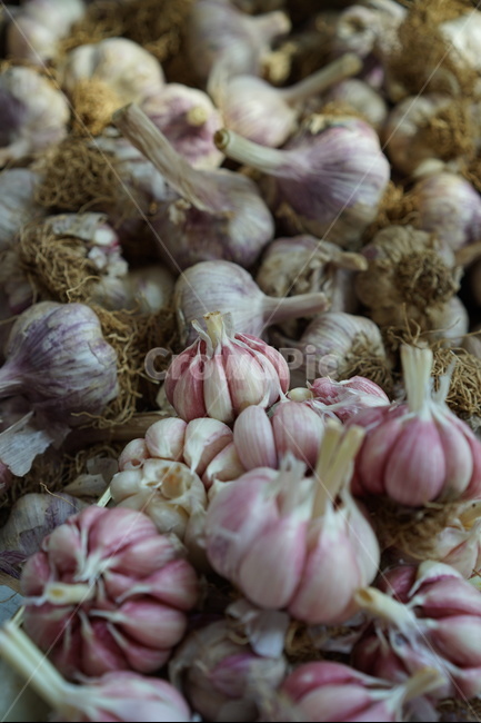 마늘,식재료,갈릭,garlic,통마늘,음식,식재료,요리,food,cook,meal,dishes,food reserves,채소,야채,vegetables