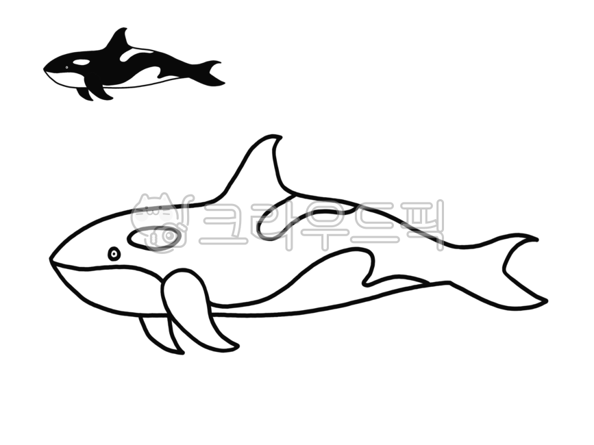 범고래,범고래그림,범고래색칠공부,orca,killerwhale,고래,해양동물,고래그림,고래색칠공부,유아미술,유아색칠공부,색칠공부,바다생물