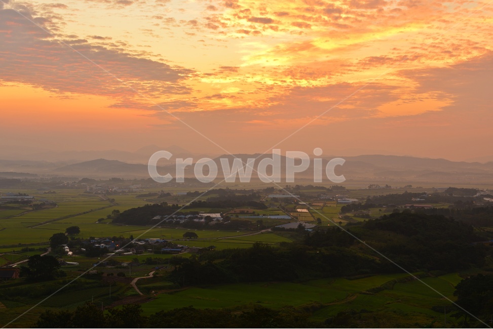 nature,자연,scenery,풍경,outdoors,옥외,landscape,경치,sunlight,햇빛,flare,플레어,light,빛,함평,밀재,밀재일출,아침,해돋이,여명