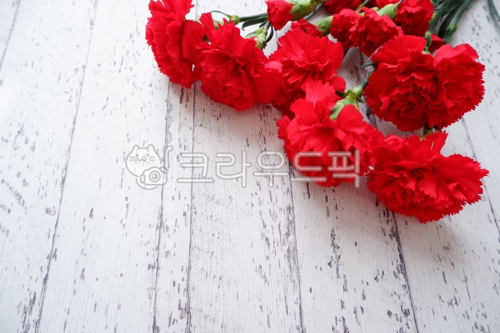 gift,floal,bouguet,carnation,spring flowers,fresh flowers,flower gift,wood,mothersday,woodentable,Teachers day,family month,natural,bouquet,Mothers Day,flower,Red,flower background,redcarnation