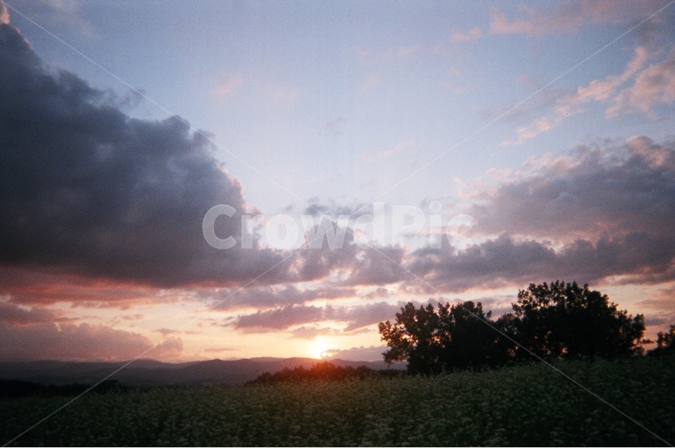 노을,역광,필름,필름사진,하늘,해질녘,석양,빛,해,노을빛,자연,풍경,nature,landscape,outdoors,옥외,sky