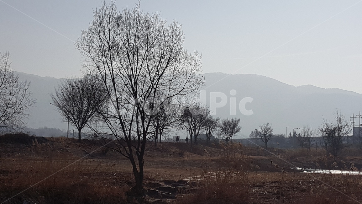 겨울,산책로,겨울풍경,야외,겨울산책로,공원,풍경,자연,풍경,nature,landscape,outdoors,옥외