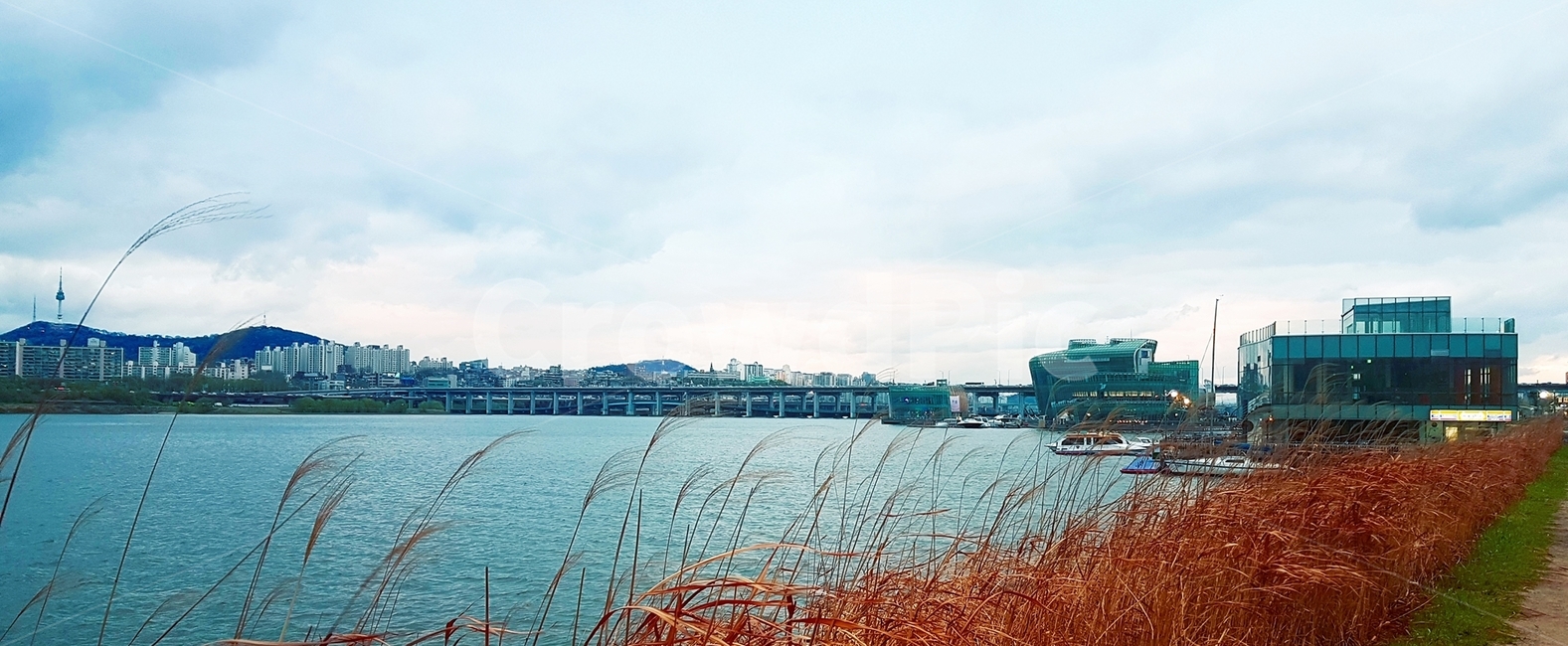 한강,한강공원,쓸쓸,외로움,흐린날,흐림,가을,갈대,흐린날씨,비