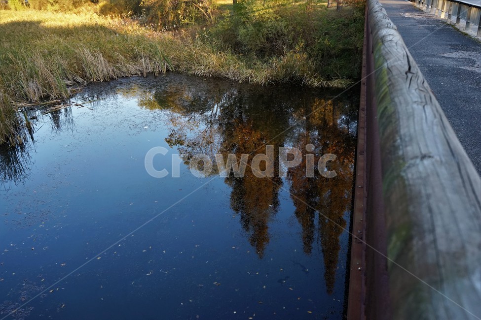 가을,늦가을,연못,반영,자연,autumn,landscape,pond,reflection,blue,water,plant,나무,자연,풍경,nature,landscape,물,land,땅,outdoors,옥외
