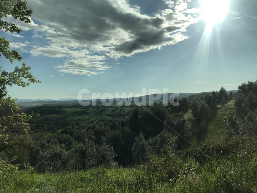 토스카나,toscana,투스카니,풀,이탈리아,이태리,italia,italy,자연,풍경,해외,nature,발도르차,초록,나무,tuscany,소도시,구름,하늘