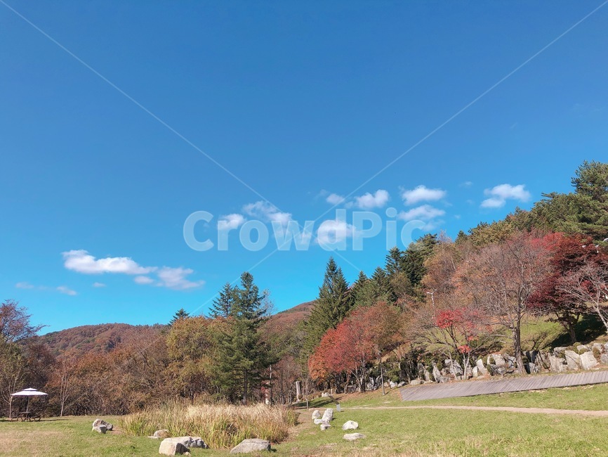 풍경,하늘,파란색,산,나무