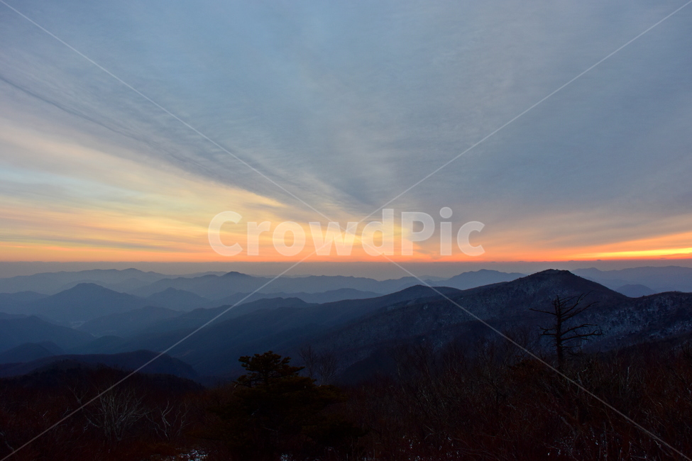 태백산,여명,일출,겨울,풍경,mountain,nature,landspace,신비로운,경이로운,아름다운,비경,계절,자연,mountain range,산맥,outdoors,옥외,산