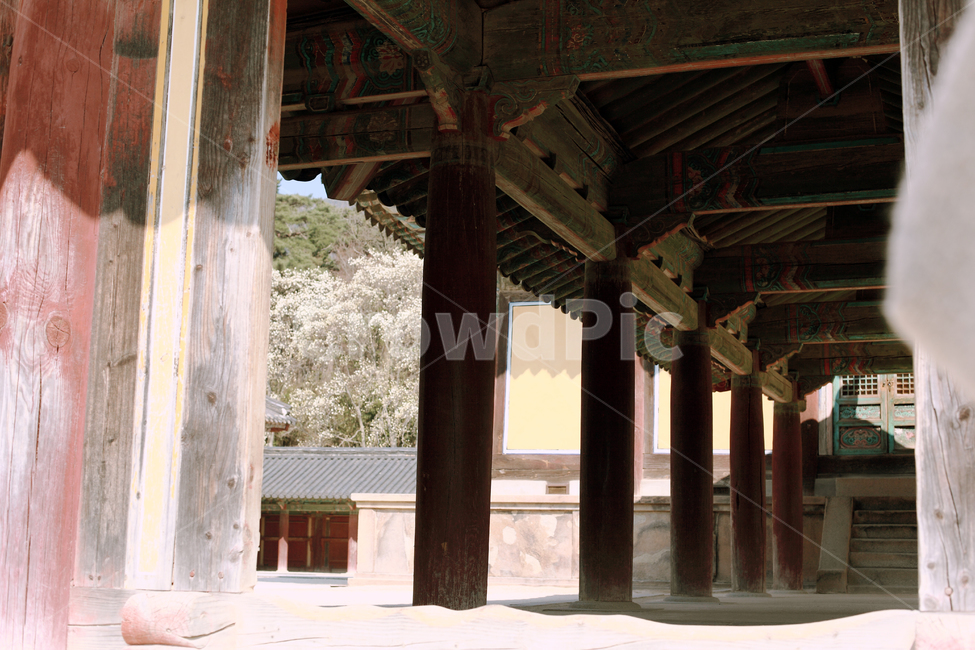 한국,전통건물,불국사,한옥,건축물,architecture,한국전통,한국문화,korean traditional,korean culture,건축물,건물외관,exterior,building,structure,architecture,construction