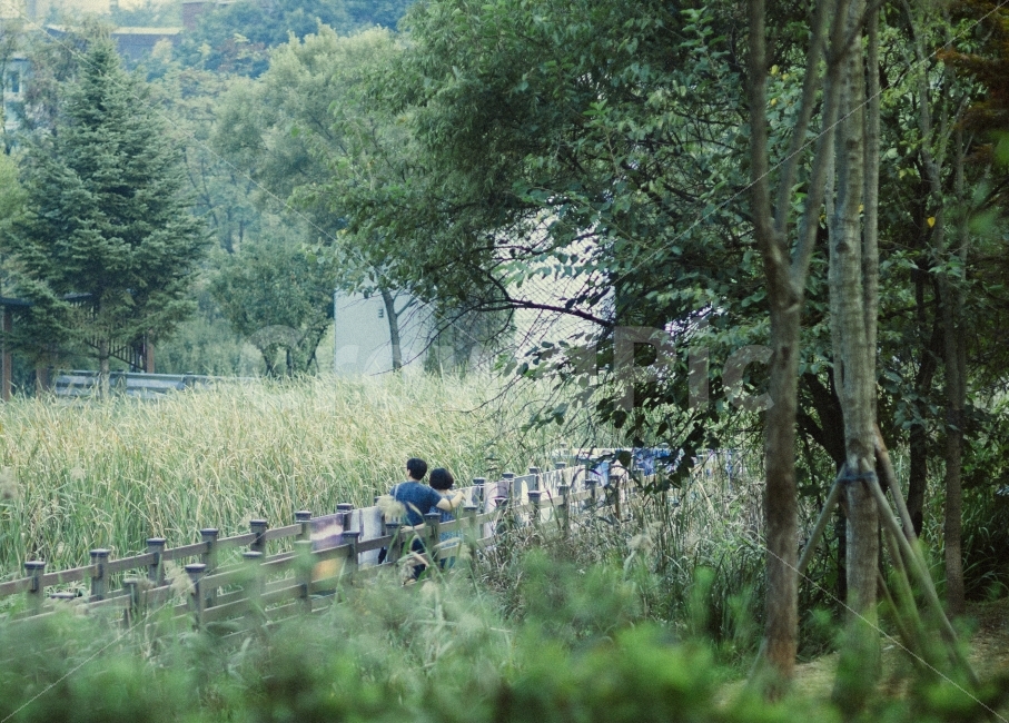감성,가을,연인,스냅,풍경,일상,데이트,자연,풍경,nature,landscape,사람,인물,인간,human,person,연인,커플,사랑,lover,couple,outdoors,옥외