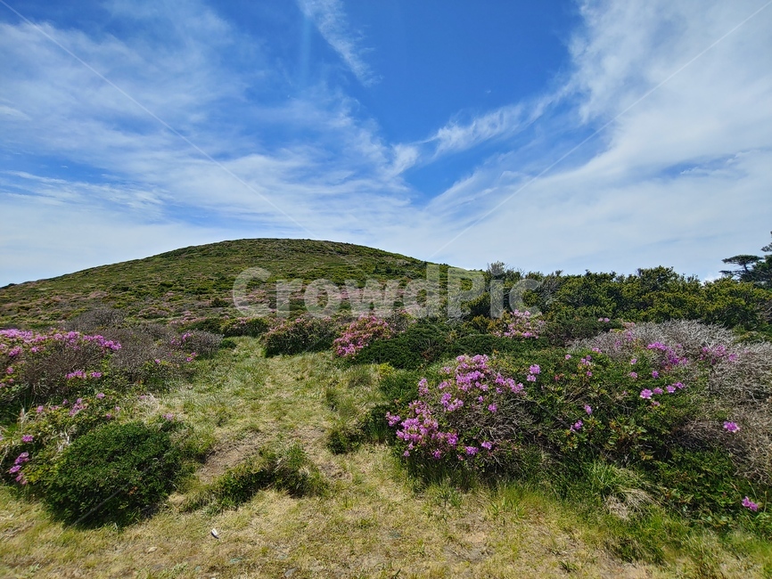 하늘,산,구름,들판,풍경,mountain,sky,clouds,green,초록,등산,한라산,배경