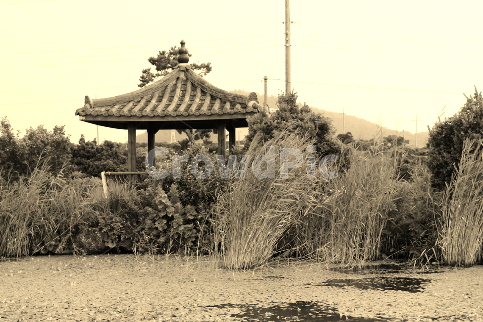 연못,정자,가을,추억,소나기,자연,풍경,nature,landscape,한국자연풍경,한국자연경관,korea nature landscape,흑백,모노톤,monochrome,black and white