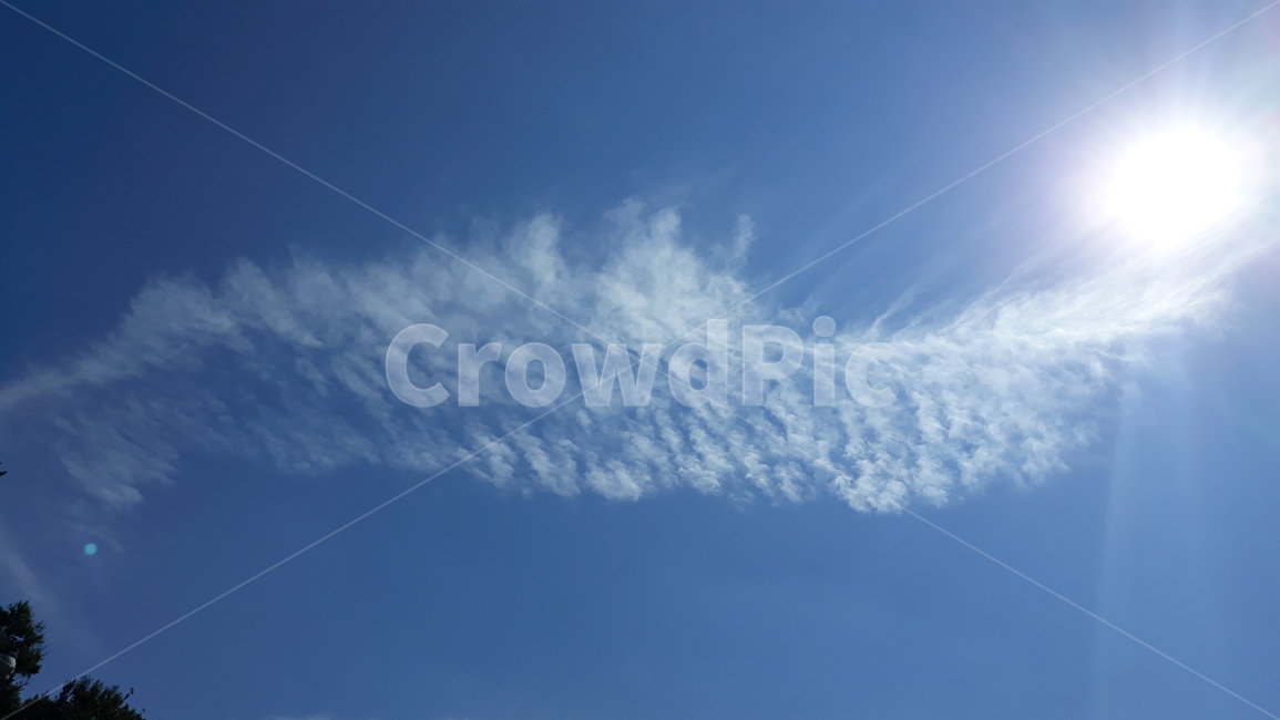 nature,자연,sky,하늘,구름,깃털구름,해,햇살,신기한구름,구름모양,파란하늘,하얀구름,자연,풍경,nature,landscape,outdoors,옥외