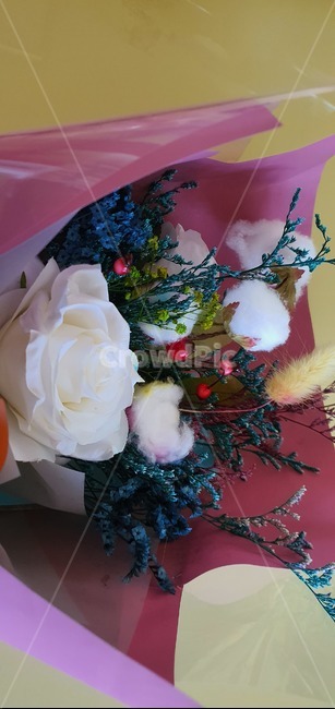 꽃,꽃다발,축하,생명,컬러,flower,nature,hydrangea,birthday,colorful,background,decoration,day,florist,beautiful,arrangement,fresh,purple,festive,mix,wedding,decor,composition,top,botanic,holiday,concept,pink,present,bunch,plant,식물