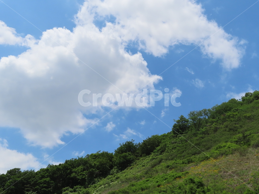 구름,하늘,언덕,흰색,파랑색,초록색,아름다움,풍경,자연,thesky,sky,white,blue,green,beauty,landscape,nature