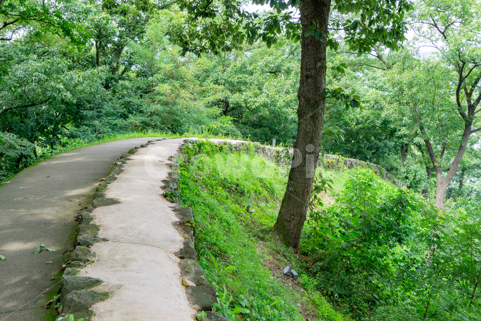 공산성,오솔길,공주,백제,산성,path,pathway,산책,길,유적지,문화재,유네스코,세계유산,세계유적,gongsanseong,unesco,문화유산,백제문화,koreafortress,자연,풍경,nature,landscape,road,도로