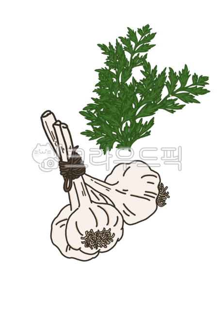 쑥, 마늘, 채소, 음식, 식물, 사진,이미지,일러스트,캘리그라피 - sesamebbang작가