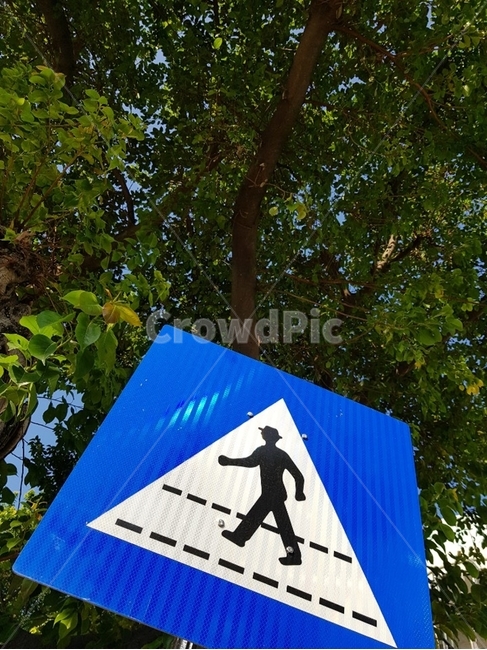 person,human,인간,symbol,상징,사람,표지판,건널목,나무,나뭇잎,횡단보도