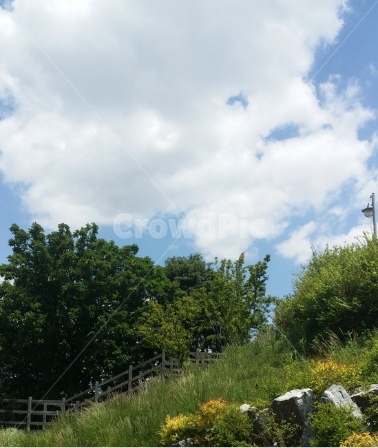뭉게구름,여름,산,계단,푸르름,더위,그늘,자연,풍경,nature,landscape,outdoors,옥외