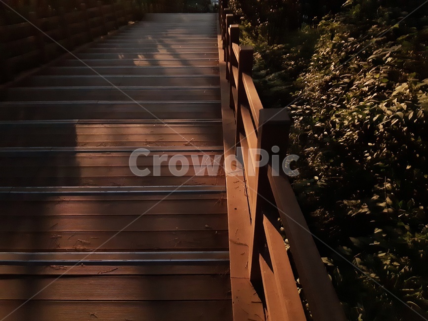 staircase,계단,building,건물,bridge,다리,boardwalk,산책로,handrail,난간,banister,노을,저녁,주황,주황색,orange,식물,plant