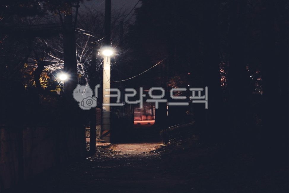 lightning,night view,night,lighting,streetlight,streetlamp,light,alley,alleyway