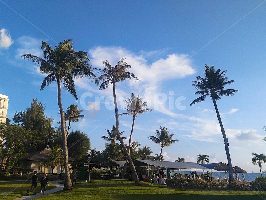 해변,beach,사이판,야자수,saipan,마이크로비치,microbeach,bluesky,파란하늘,chill,하늘,휴양지,잔디,여름,summer