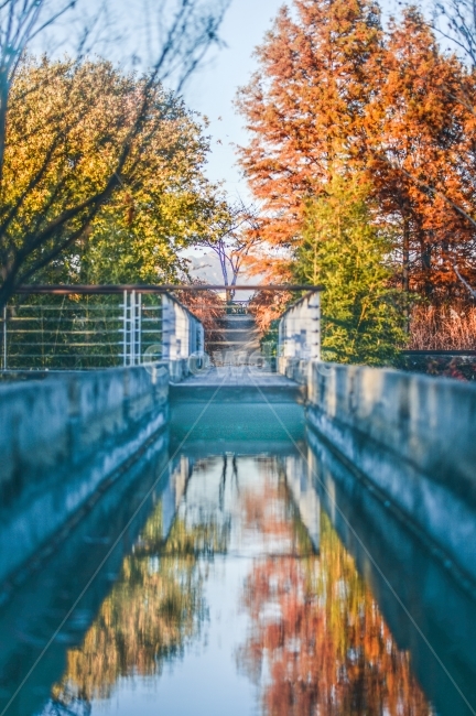 선유도공원,선유도,낙엽,단풍,반영,연못,가을,계절,fall,autumn,season,색깔,색상,색채,색감,color sense,color sensitivity,feeling of color,water,물,handrail,난간,banister
