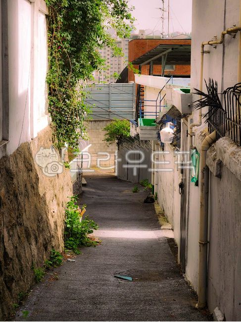 골목,골목길,길,좁은,오래된
