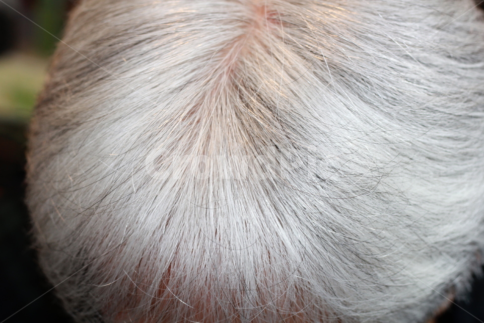 백발,힌머리,반백,하얀머리,인물,중년,검은머리,염색,hair,머리,사람,인물,인간,human,person,신체일부,몸,body,노인,어르신,old man, senior citizen